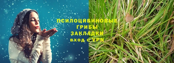 соль ск Зеленодольск