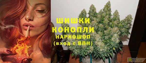 дмт Зеленокумск